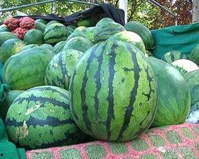 吃瓜都要选品牌嘛,品味生活新选择